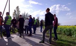 2019, Abrollern, RFG, Roller-Fahr-Gemeinschaft