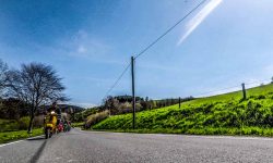 2021-05-09_sauerland_010_web.jpg