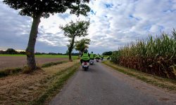 20210925_abrollern-rfg_257_web.jpg