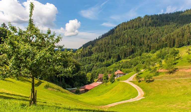 bad griesbach-05