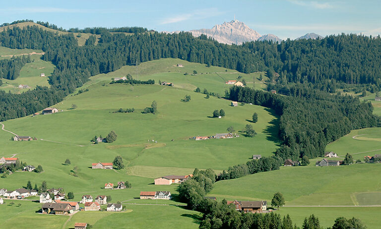 schönegrund